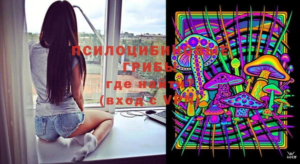 МДМА Медвежьегорск