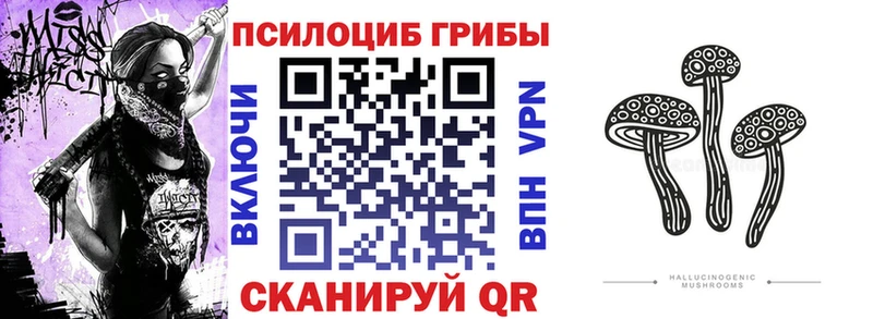 Псилоцибиновые грибы Magic Shrooms  Щёкино 